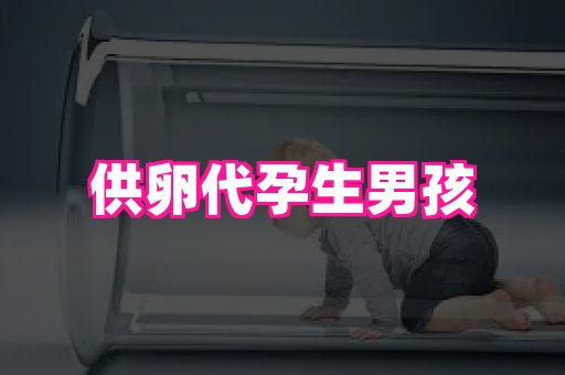 长春助孕网站 1